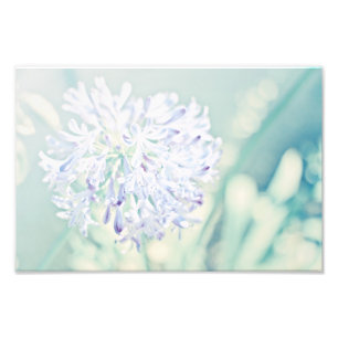 PastellBlumen Fotodruck
