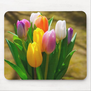 Pastellfarbtulpe mousepad