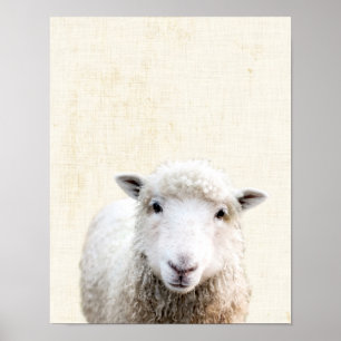 Pastellgelbe Peekaboo-Schafe Minimalistische Kinde Poster