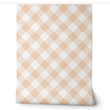 Pastellorange Lachs Pfirsich Gingham Diagonale