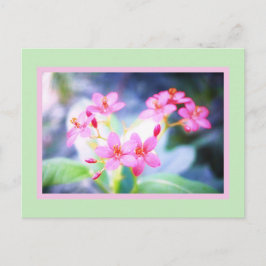 Pastellrosa Blume Postkarte