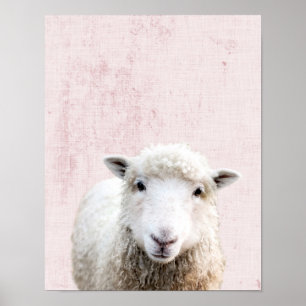Pastellrosa Guck-Guck-Schaf Minimalistische Kinder Poster