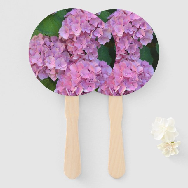 Pastellrosa Hortensia Hydrangea Blume Fächer (Vorne und Hinten)