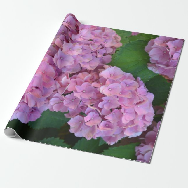 Pastellrosa Hortensia hydrangea Blüte Geschenkpapier (Ungerollt)