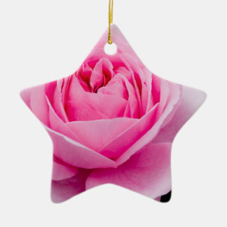 Pastellrosa-Rosen-Verzierung Keramik Ornament