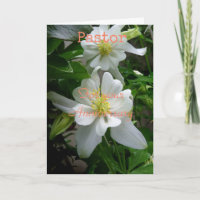 Pastor für Ihre Jubiläumskarte