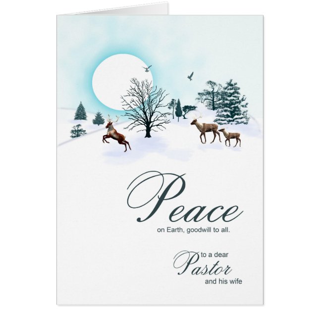 Pastor und seine Ehefrau, Weihnachten mit Ren (Vorne)