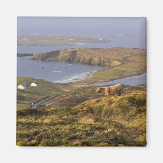 Pastoralküste Magnet (Vorne)