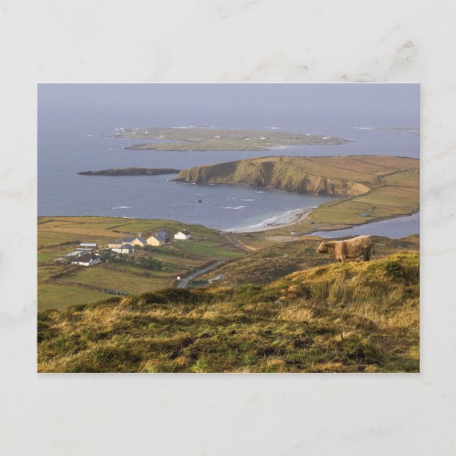 Pastoralküste Postkarte (Vorderseite)