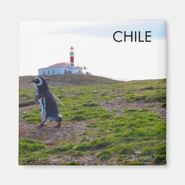 Patagonia Chile Penguin Magnet (Vorne)