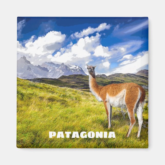 Patagonia Magnet (Vorne)