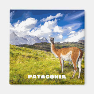 Patagonia-Magnet Magnet