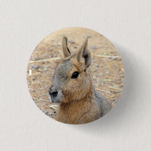 PATAGONIAN MARA BUTTON