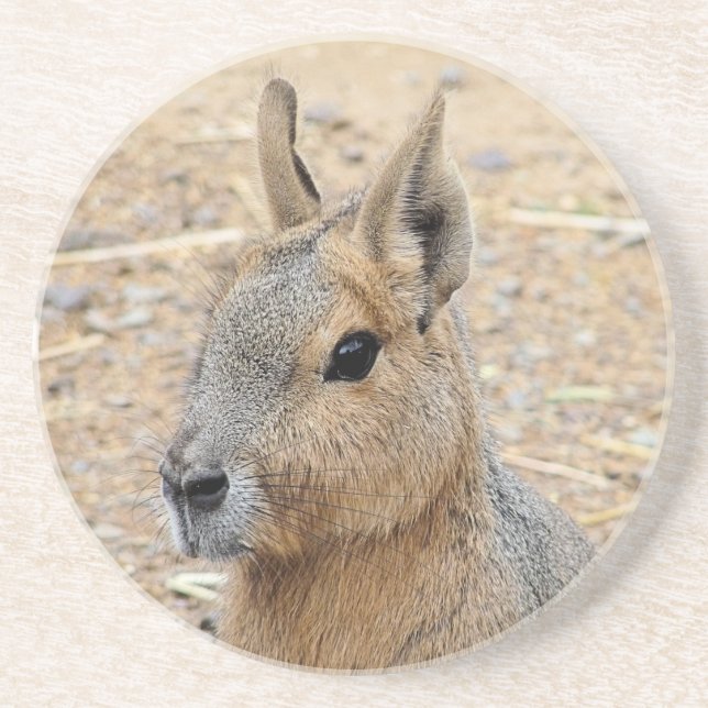 PATAGONIAN MARA GETRÄNKEUNTERSETZER (Vorne)