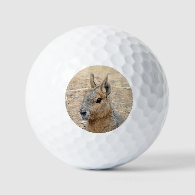 PATAGONIAN MARA GOLFBALL (Vorderseite)