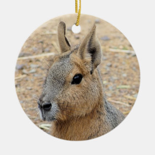PATAGONIAN MARA KERAMIK ORNAMENT
