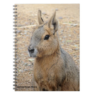 PATAGONIAN MARA NOTIZBLOCK
