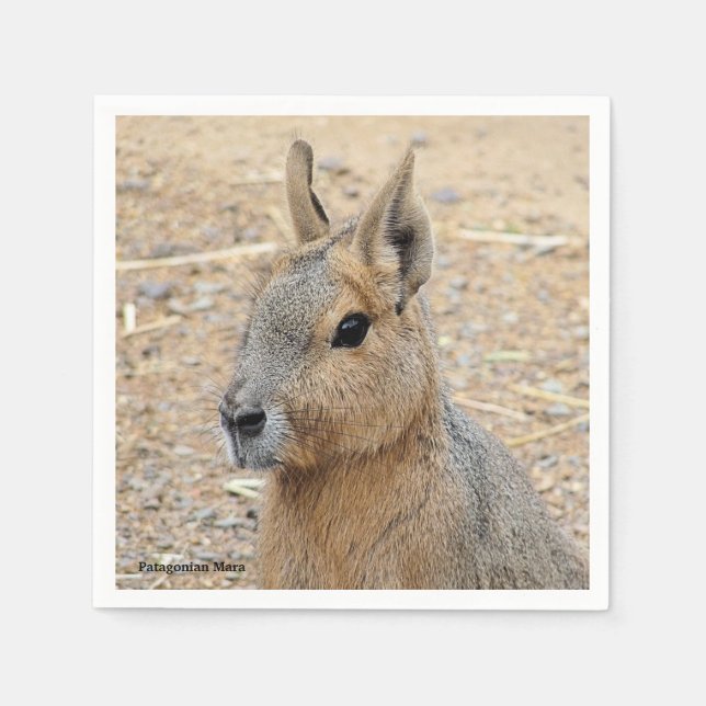 PATAGONIAN MARA SERVIETTE (Vorderseite)