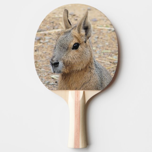 PATAGONIAN MARA TISCHTENNIS SCHLÄGER (Vorderseite)