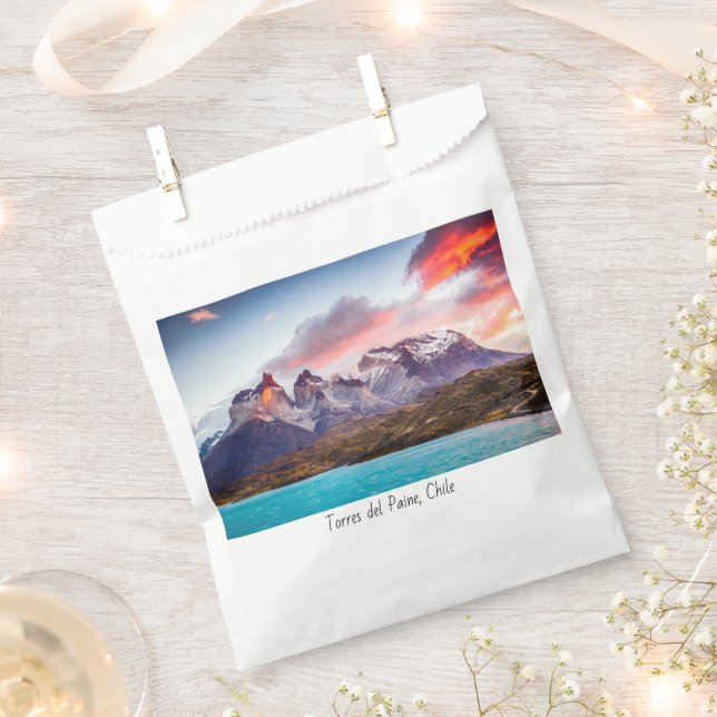 Patagonie Geschenktütchen (Ausgeschnitten)