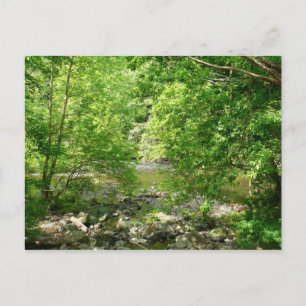 Patapsco River Blick Maryland Naturfotografie Postkarte