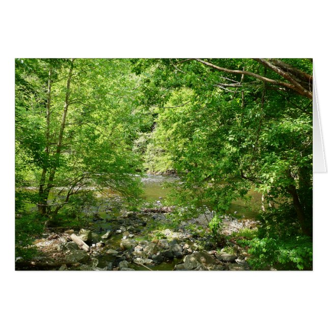 Patapsco River View Maryland Nature Fotografy (Vorderseite (Horizontal))
