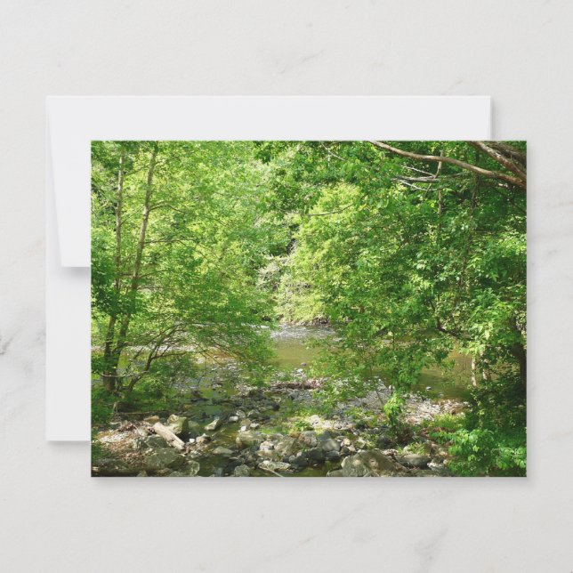 Patapsco River View Maryland Nature Fotografy (Vorderseite)