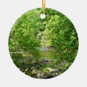 Patapsco River View Maryland Nature Fotografy Keramik Ornament