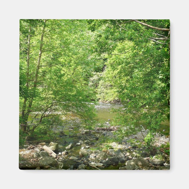 Patapsco River View Maryland Nature Fotografy Magnet (Vorne)