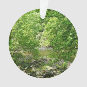 Patapsco River View Maryland Nature Fotografy Ornament