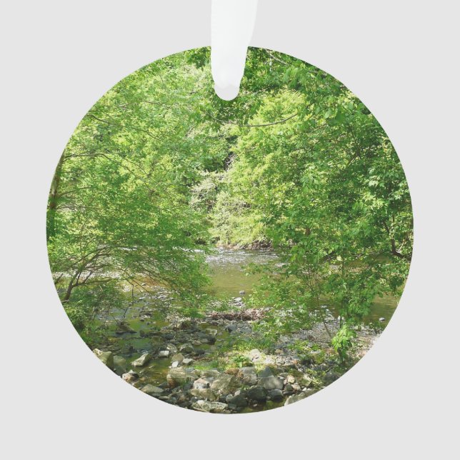 Patapsco River View Maryland Nature Fotografy Ornament (Vorderseite)