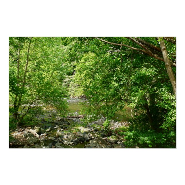 Patapsco River View Maryland Nature Fotografy Poster (Vorderseite)