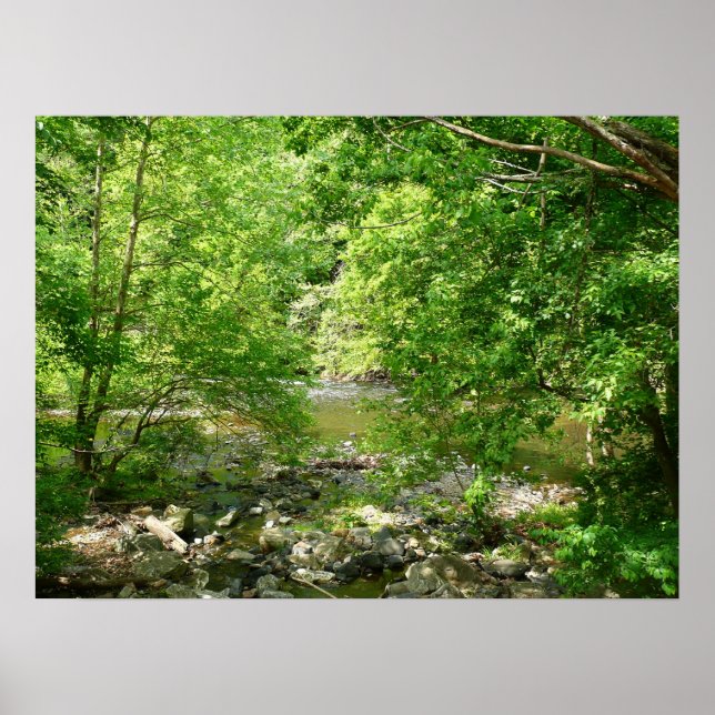 Patapsco River View Maryland Nature Fotografy Poster (Vorne)