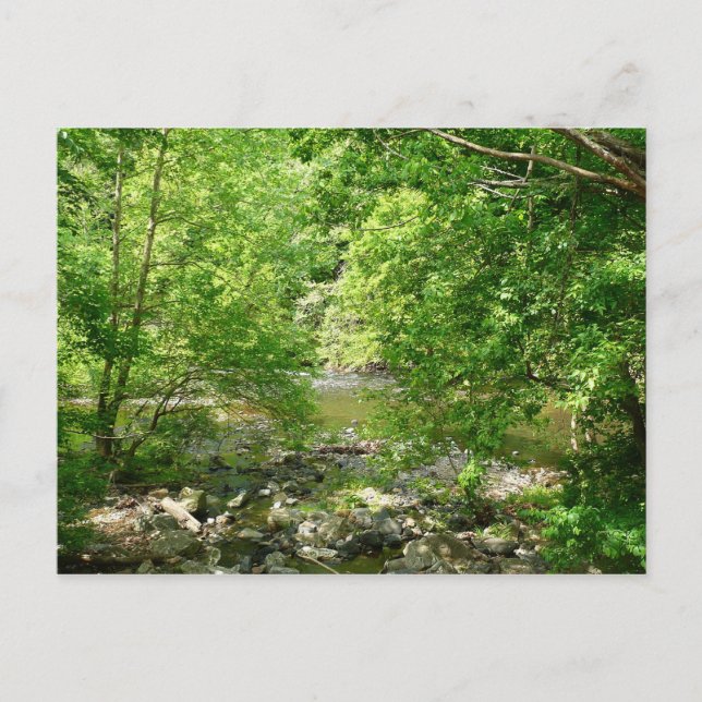 Patapsco River View Maryland Nature Fotografy Postkarte (Vorderseite)