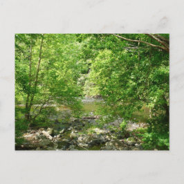 Patapsco River View Maryland Nature Fotografy Postkarte