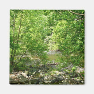 Patapsco River View Maryland Naturfotografie Magnet
