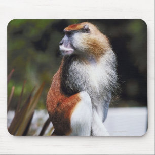 Patas Affe Mousepad
