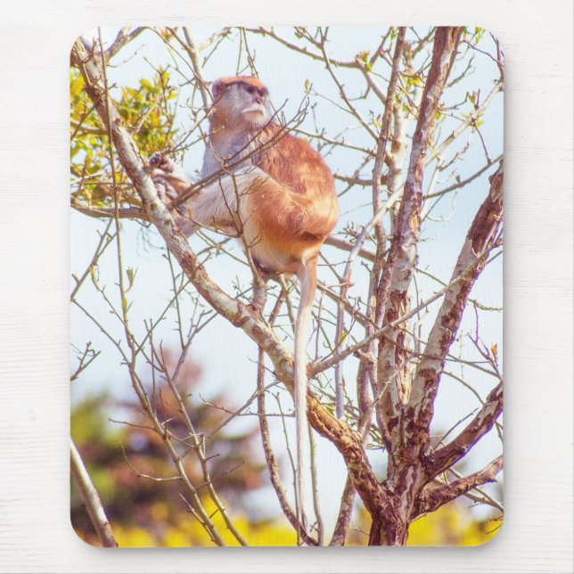 Patas ist Up a Tree Mousepad (Vorne)
