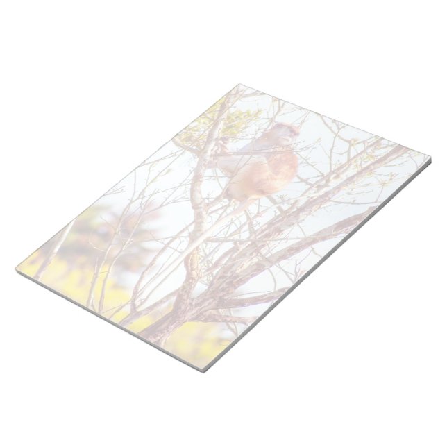 Patas ist Up a Tree Notizblock (angewinkelt)