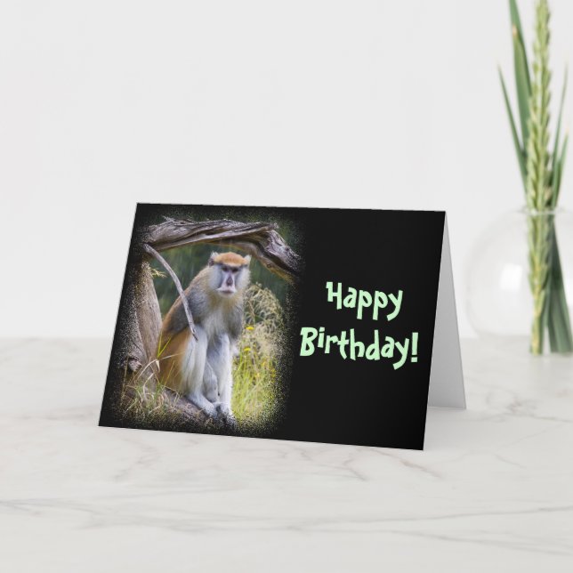 Patas Monkey Birthday Karte (Vorderseite)