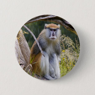 Patas Monkey Button