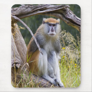 Patas Monkey Mousepad