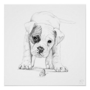Patch A Boxer Puppy Zeichne Kunst Poster