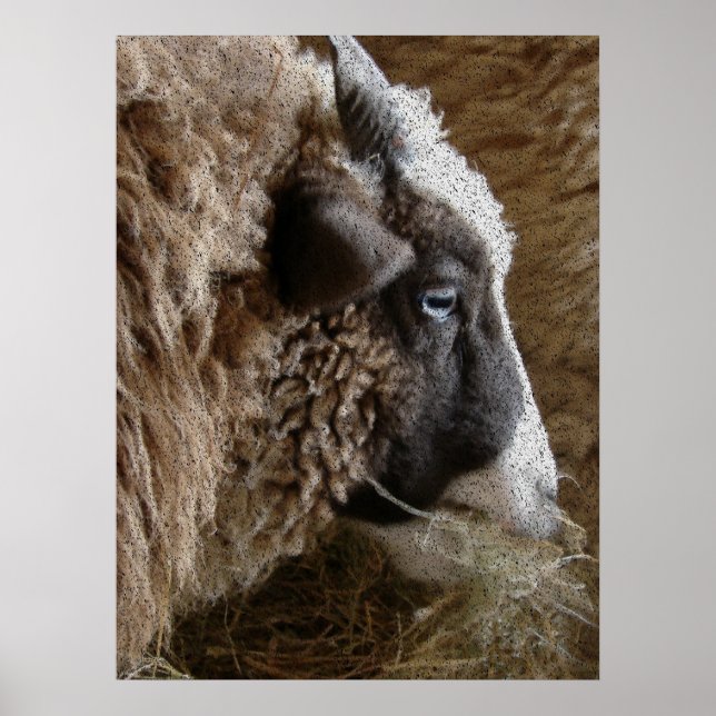 Patchwork Amy Poster (Vorne)