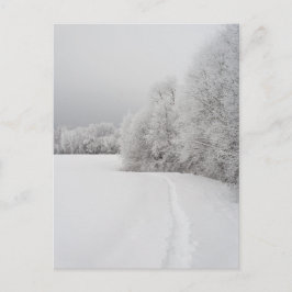 Path in snowy landscape, New Year Holiday Postcard Feiertagspostkarte
