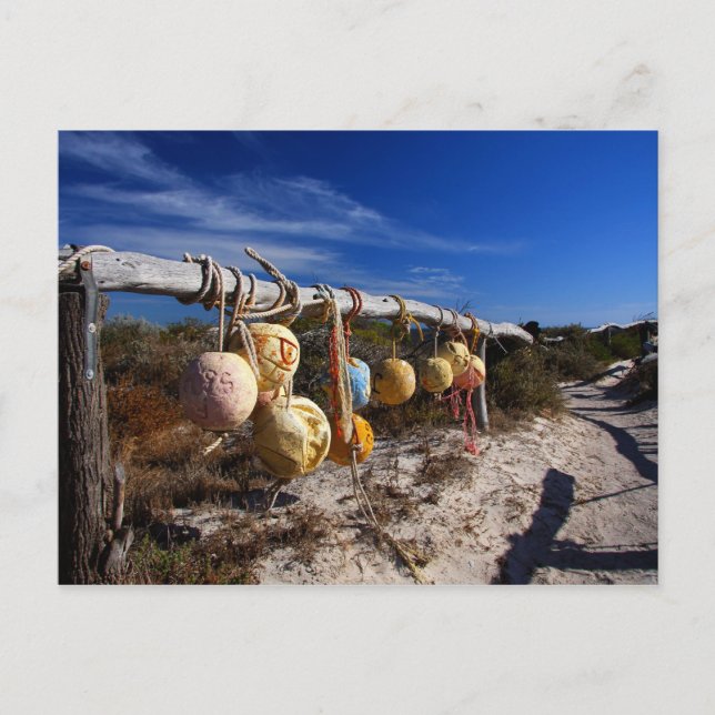 Pathway to the Beach - Dongara - Western Australia Postkarte (Vorderseite)