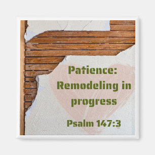 Patience - Umleitung des 2 x 2"-Magneten Progress Magnet