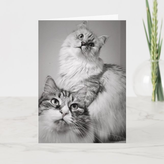 Patient zum Kuchen gewartet (Geburtstag des Mitarb Karte (Vorderseite)