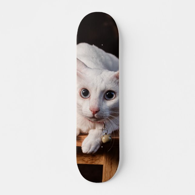 Patineta Gato Blanco Montado En Una Silla Skateboard (Vorne)