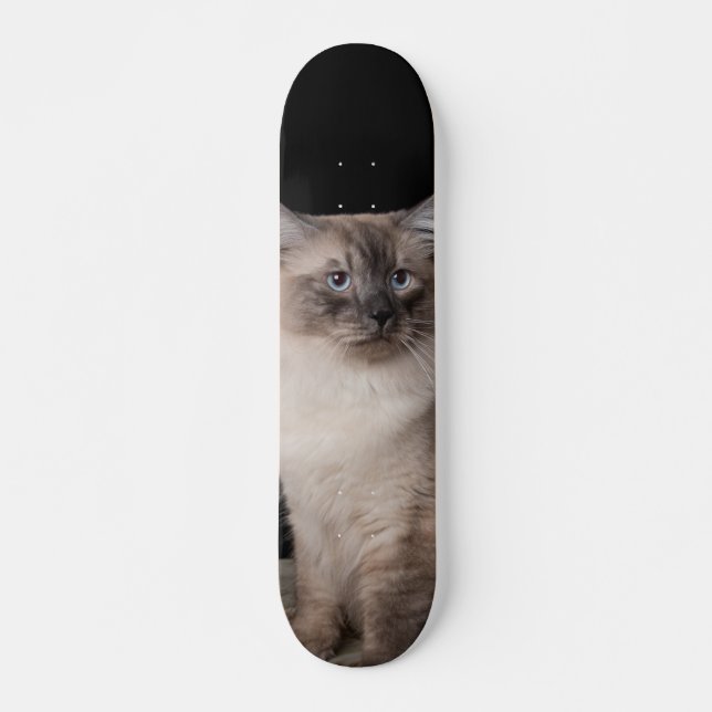 Patineta Gato Siberiano Observando Skateboard (Vorne)